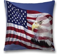 Декоративная наволочка JoyArty sl_20706