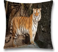 Декоративная наволочка JoyArty sl_38681