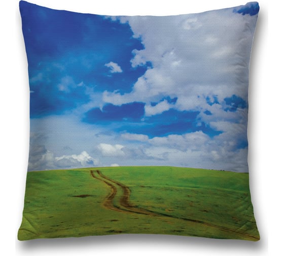 Декоративная наволочка JoyArty sl_19333 1