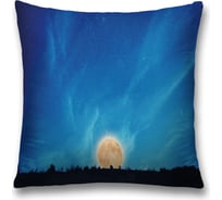 Декоративная наволочка JoyArty sl_35366