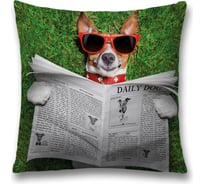 Декоративная наволочка JoyArty sl_38599