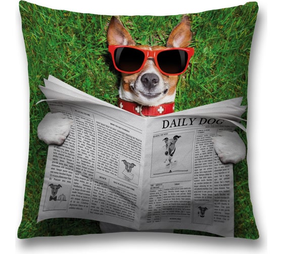 Декоративная наволочка JoyArty sl_38599