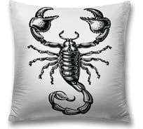 Декоративная наволочка JoyArty sl_60278