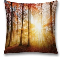 Декоративная наволочка JoyArty sl_19309