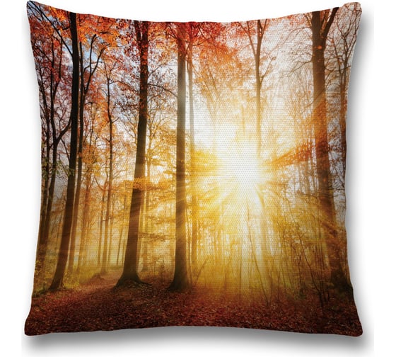 Декоративная наволочка JoyArty sl_19309 1