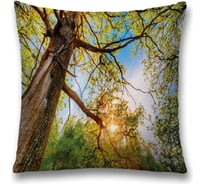 Декоративная наволочка JoyArty sl_20663