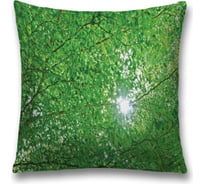 Декоративная наволочка JoyArty sl_20657