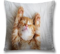 Декоративная наволочка JoyArty sl_38600