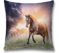 Декоративная наволочка JoyArty sl_3853