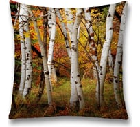 Декоративная наволочка JoyArty sl_37690