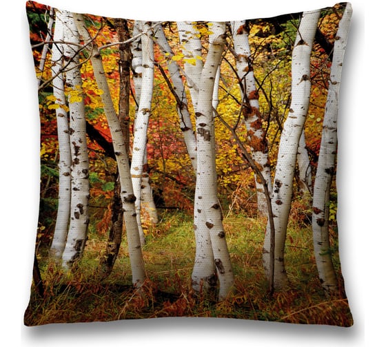 Декоративная наволочка JoyArty sl_37690 1