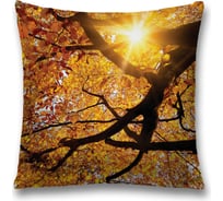 Декоративная наволочка JoyArty sl_20662