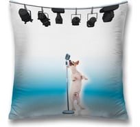 Декоративная наволочка JoyArty sl_5286