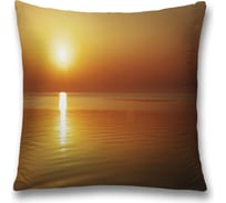 Декоративная наволочка JoyArty sl_32632