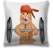 Декоративная наволочка JoyArty sl_38563