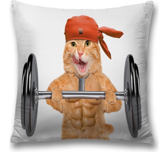 Декоративная наволочка JoyArty sl_38563 1