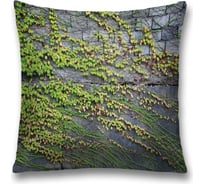 Декоративная наволочка JoyArty sl_19753