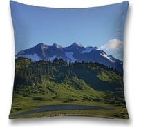 Декоративная наволочка JoyArty sl_20855