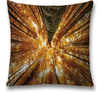 Декоративная наволочка JoyArty sl_20661