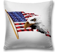 Декоративная наволочка JoyArty sl_20696