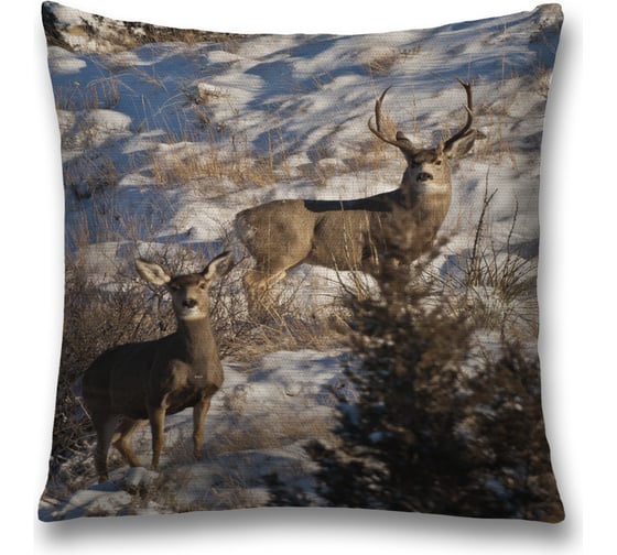 Декоративная наволочка JoyArty sl_4301