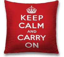 Декоративная наволочка JoyArty sl_54199