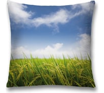 Декоративная наволочка JoyArty sl_38884