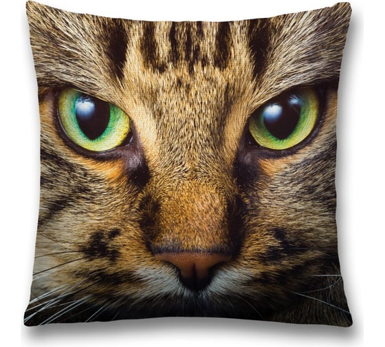 Декоративная наволочка JoyArty sl_4270