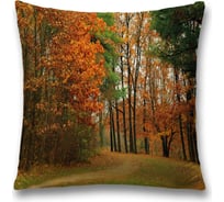 Декоративная наволочка JoyArty sl_37680