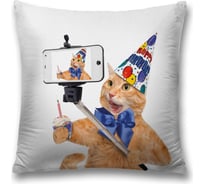 Декоративная наволочка JoyArty sl_38591