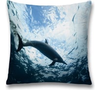 Декоративная наволочка JoyArty sl_20438