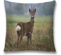 Декоративная наволочка JoyArty sl_35778