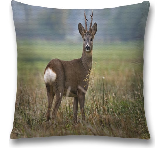 Декоративная наволочка JoyArty sl_35778 1