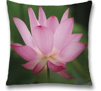 Декоративная наволочка JoyArty sl_27961