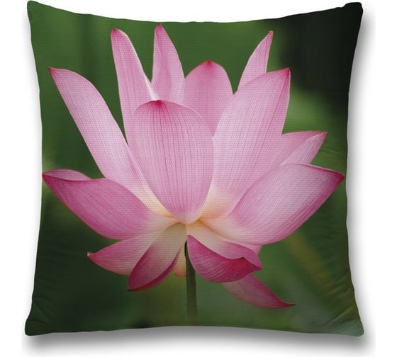 Декоративная наволочка JoyArty sl_27961