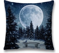 Декоративная наволочка JoyArty sl_20093