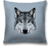 Декоративная наволочка JoyArty sl_48451