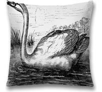 Декоративная наволочка JoyArty sl_58607