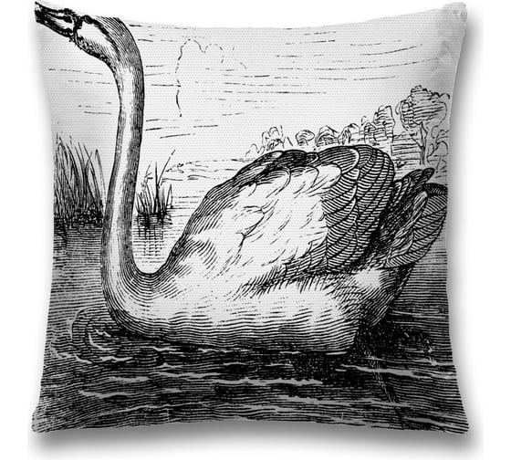 Декоративная наволочка JoyArty sl_58607