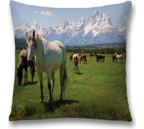 Декоративная наволочка JoyArty sl_20751