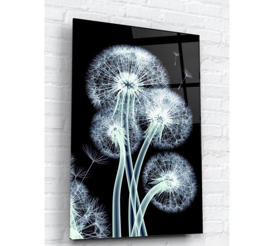 Картина на стекле ARTABOSKO Рентген 1 40x60 WBR-11-702-04