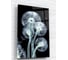 Картина на стекле ARTABOSKO Рентген 1 40x60 WBR-11-702-04 1