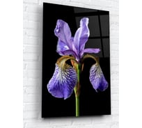 Картина на стекле ARTABOSKO Ирис 40x60 WBR-02-147-04