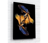 Картина на стекле ARTABOSKO Бойцовская рыбка 2 40x60 WBR-02-64-04