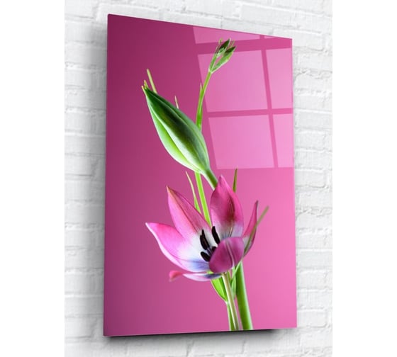 Картина на стекле ARTABOSKO Цветочная фантазия 7 40x60 WBR-07-251-04 1