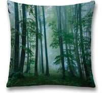 Декоративная наволочка JoyArty sl_22017