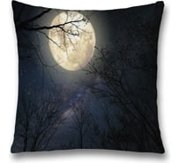 Декоративная наволочка JoyArty sl_35620