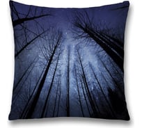 Декоративная наволочка JoyArty sl_35615