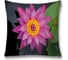 Декоративная наволочка JoyArty sl_35480 1