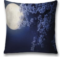 Декоративная наволочка JoyArty sl_35619